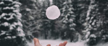 Is the Debt Snowball Strategy Truly Effective in 2020?