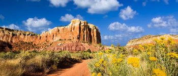 Guide to New Mexico Student Loans (Interest Rates, Providers, and More)