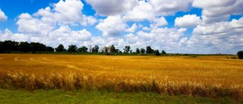 Guide to Oklahoma Student Loans (Interest Rates, Providers, and More)