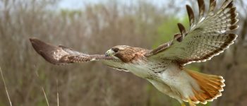 Guide to University of Iowa’s Financial Aid & Student Loan Options