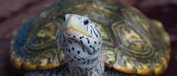 Guide to University of Maryland’s Financial Aid and Student Loan Options