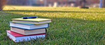 Pros and Cons of the Income-Sensitive Loan Repayment Plan